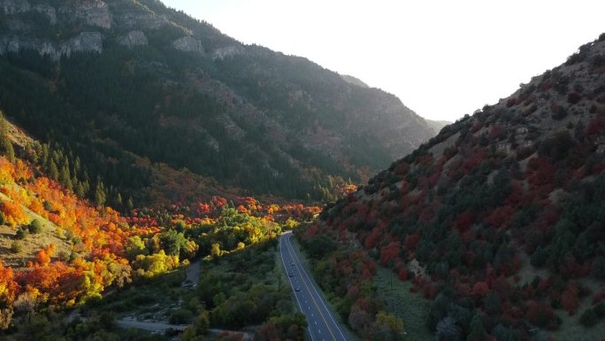 犹他州北部洛根峡谷的落叶。