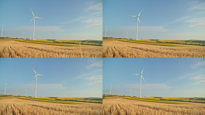 SLO MO收获微风:金色田野中的风力涡轮机