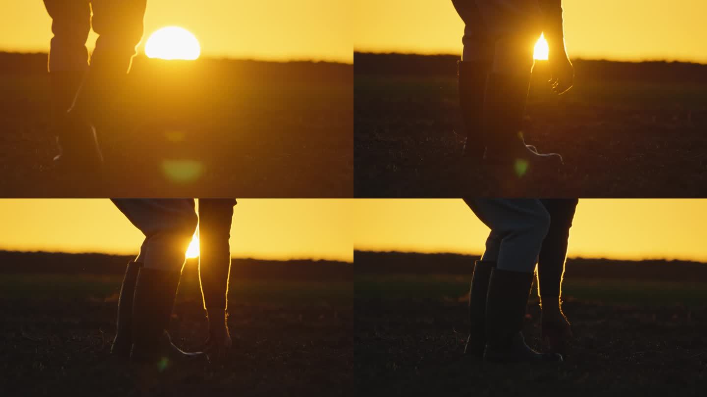 日落时分，穿着胶靴在田间检查土壤的男农民的后视图