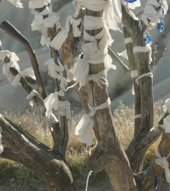 垂直视频。一棵干枯的树，完全包裹并装饰着土耳其的护身符，用来抵御邪恶的眼睛，纳扎尔珠，以抵御邪恶的眼
