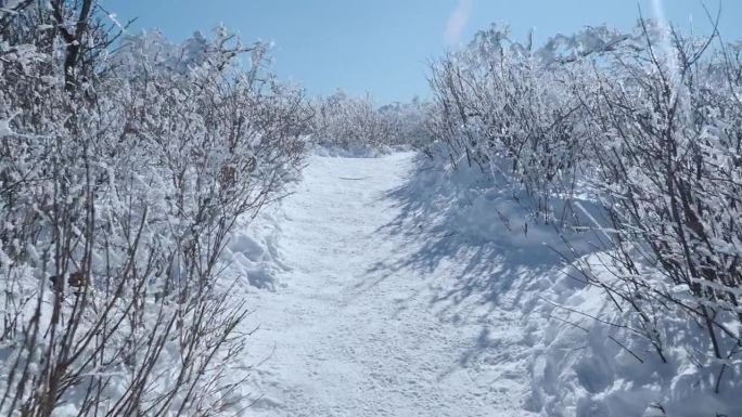 巴王山莫纳公园，蓝天下，冰雪覆盖，霜冻的日子——向前推进