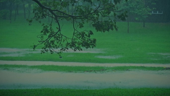 下雨 雨丝 雨滴 大雨 暴雨