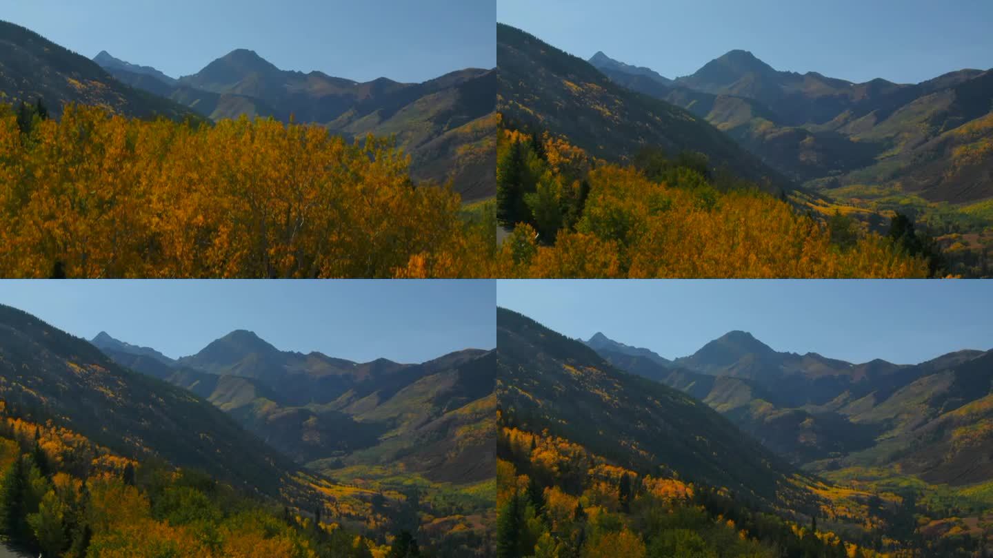科罗拉多州夏秋秋色航拍无人机电影白杨雪堆山栗色钟金字塔峰美丽的令人惊叹的蓝天中午阳光明媚揭示过去的黄