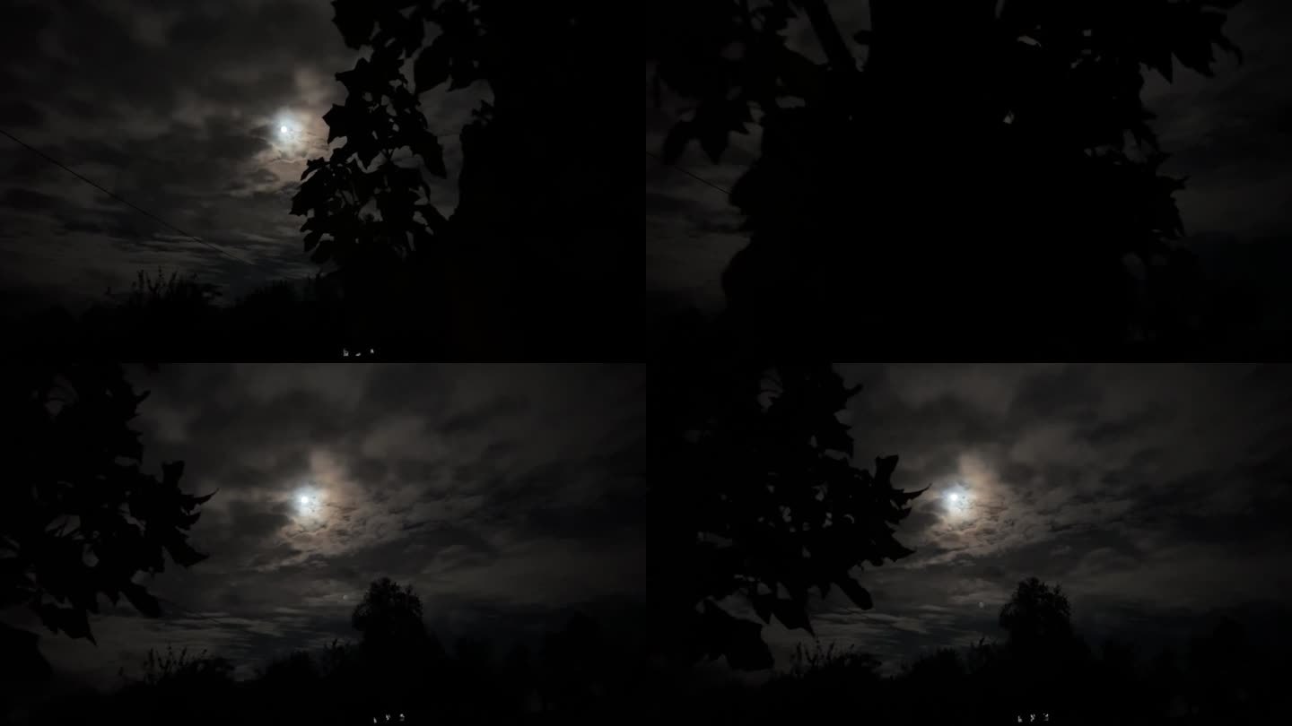 诡异的满月带着光环，树叶后面有云