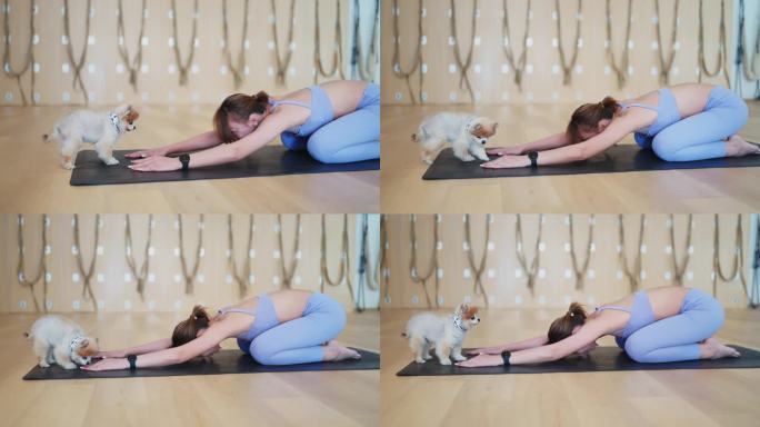 一个具有挑战性的平衡姿势在垫子上展示了一个年轻的女瑜伽师在现代瑜伽工作室设置
