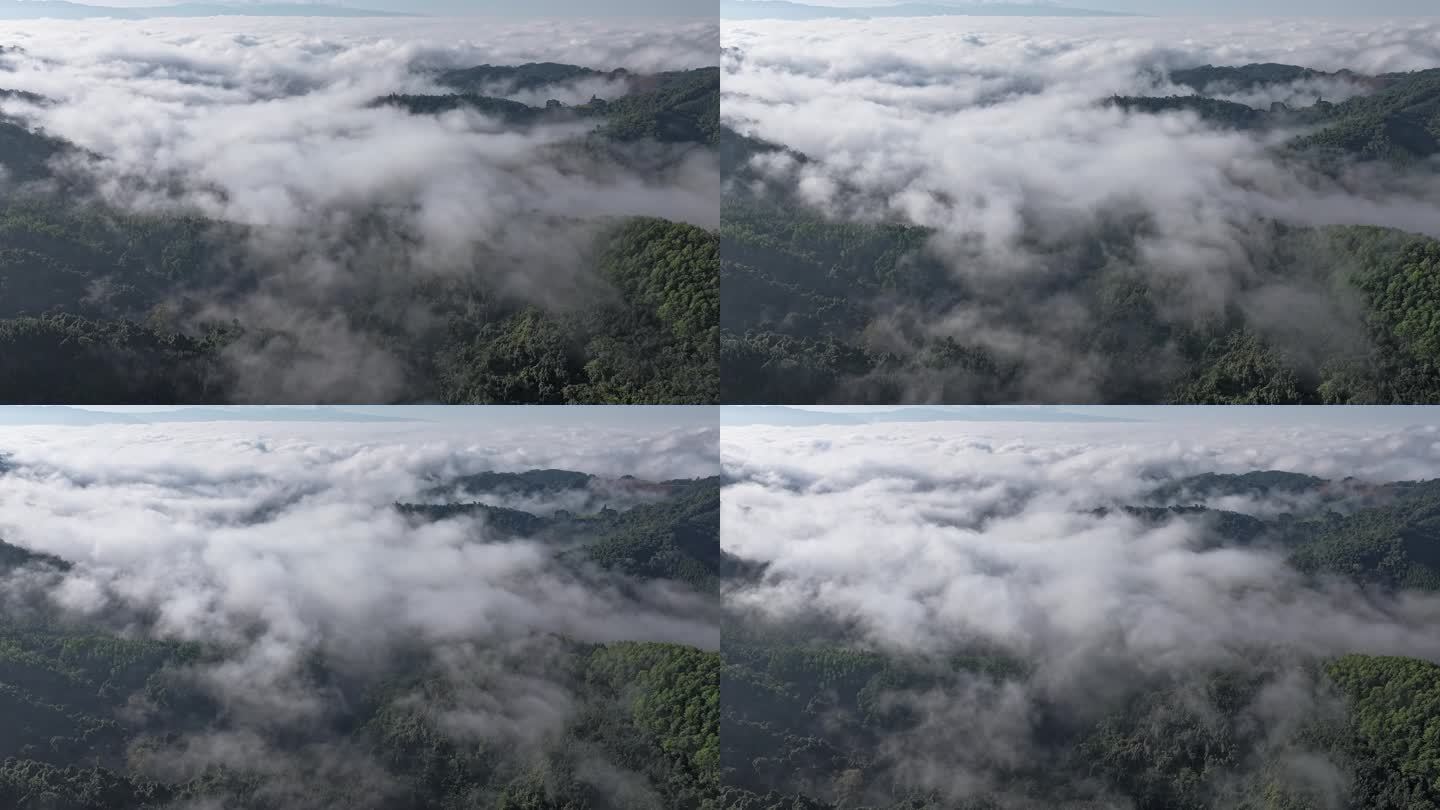 云雾翻腾下的森林美景航拍延时