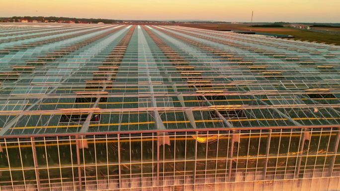 空中高角度无人机拍摄的大型温室在日落期间的画面