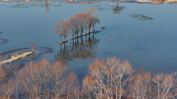 秋冬季节剑湖湿地树木水面倒影