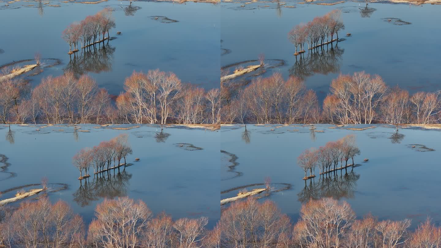 秋冬季节剑湖湿地树木水面倒影