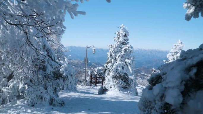 江原道龙平滑雪场蒙纳帕克八王山的白松——慢动作步行