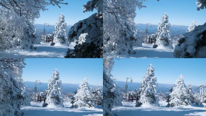 江原道龙平滑雪场蒙纳帕克八王山的白松——慢动作步行