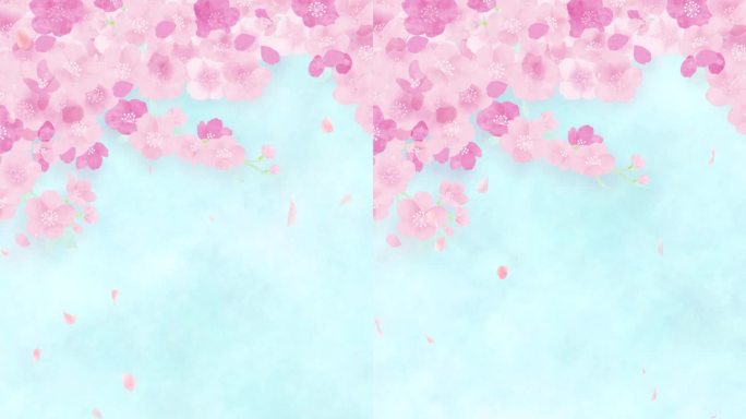 水彩画樱花。