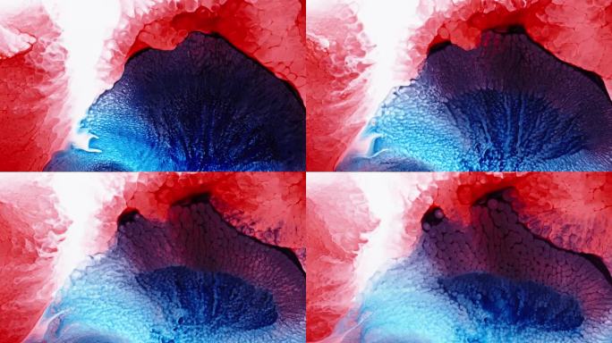 红色和蓝色的墨水在水中融合，创造一个抽象的，流动的艺术模式
