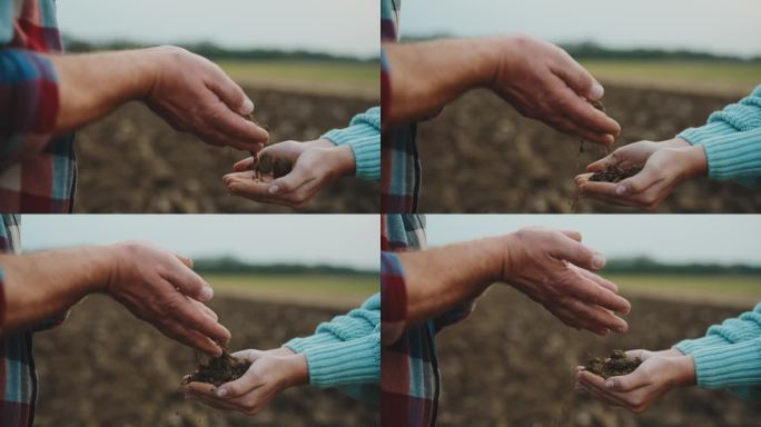 在农场里，男农民给在农场做杯状手的女同事送土的照片