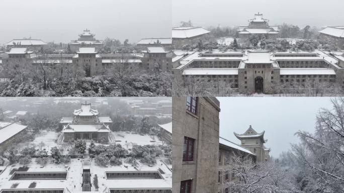 武汉大学樱花盖雪