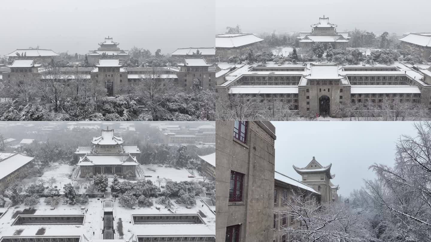 武汉大学樱花盖雪