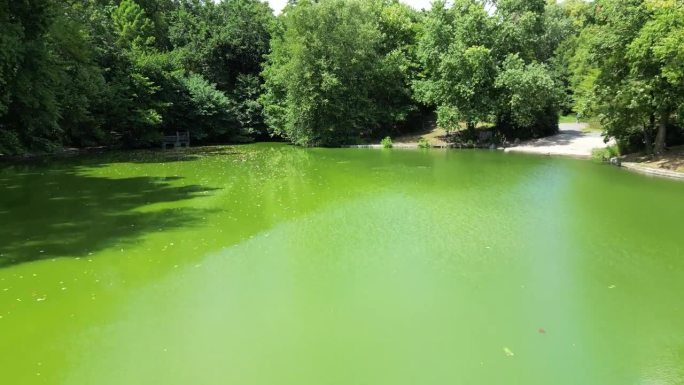 绿色河流的水流动-视频的自然现象，水盛开-宁静的场景与翡翠色调的河流-宁静的自然镜头的绿色河流-迷人