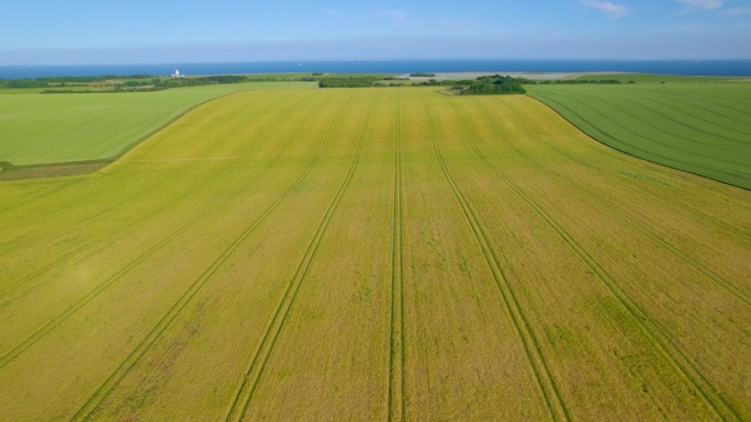航拍:五彩缤纷的乡村，沿着英国海岸有绿色和黄色的田野