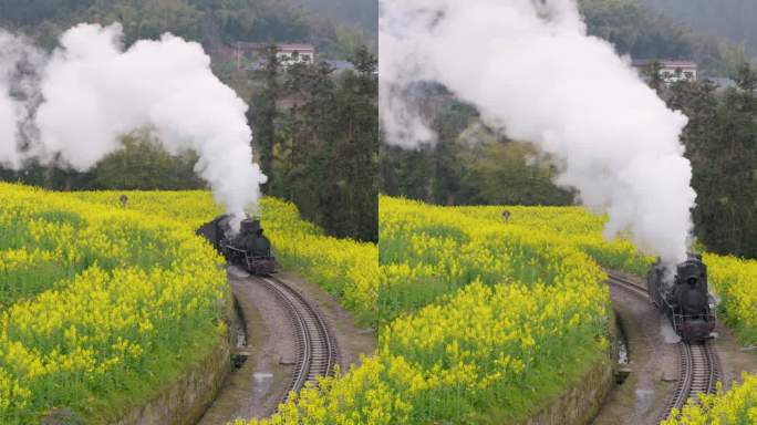 油菜花田中开往春天的列车