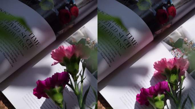【4K竖屏】康乃馨花束缓慢地放在书本上