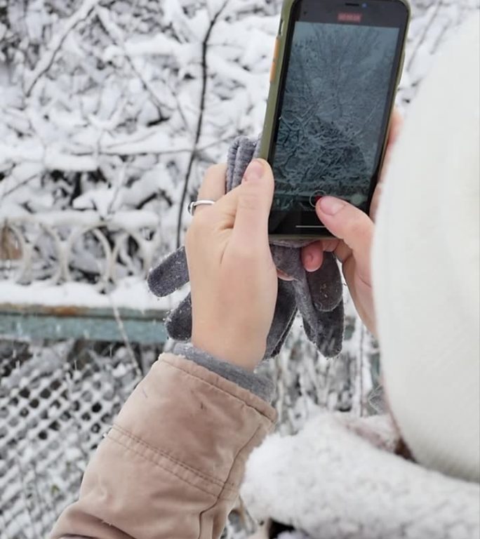在一个美丽的雪天，一名女子拿着智能手机，用手机的相机拍摄冬天的雪景和雪花落在树枝上。竖屏，雪花飘飘的