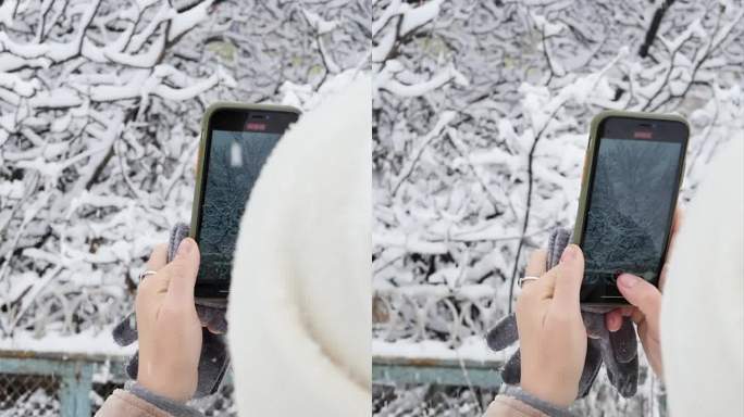 在一个美丽的雪天，一名女子拿着智能手机，用手机的相机拍摄冬天的雪景和雪花落在树枝上。竖屏，雪花飘飘的