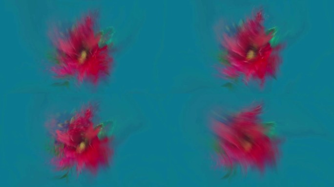 芙蓉花的爆炸视觉创意唯美流动