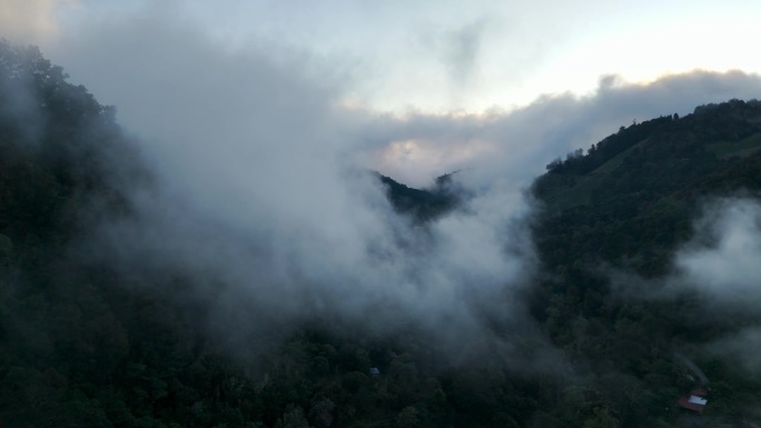 哥斯达黎加尼科亚半岛的热带雨林。第二部分