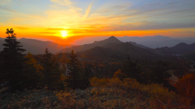 沐浴在夕阳下的秋山径