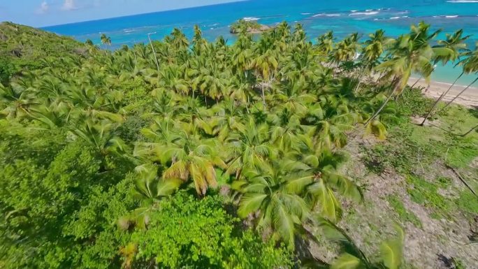 夏季，无人机在多米尼加共和国萨马纳的Playa Ermitano海滩的植被上飞行。空中废票