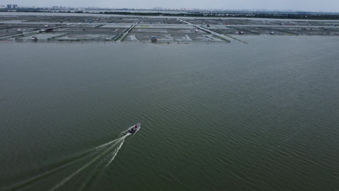 苏州阳澄湖夏天航拍