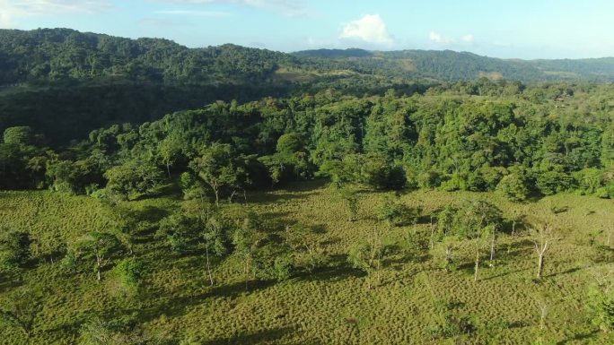 无人机在哥斯达黎加丛林中的鸟瞰图和飞行。