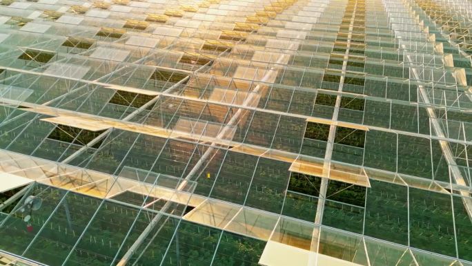 空中全画幅无人机拍摄的玻璃屋顶和开放的窗户在晴天温室