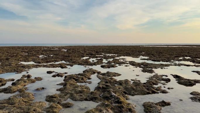 潮汐作用下的低深度海滩，潮汐作用使海水后退，珊瑚侵蚀，海岸岩石显示出小池塘和海洋生物，是格什姆岛海龟