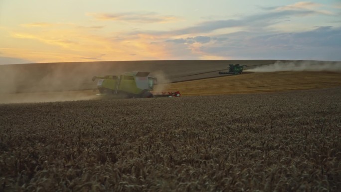 日落时分多云天空下，联合收割机在成熟麦田上移动的慢镜头