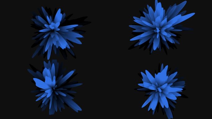 迷人的蓝色花朵在黑暗的背景下散发出优雅
