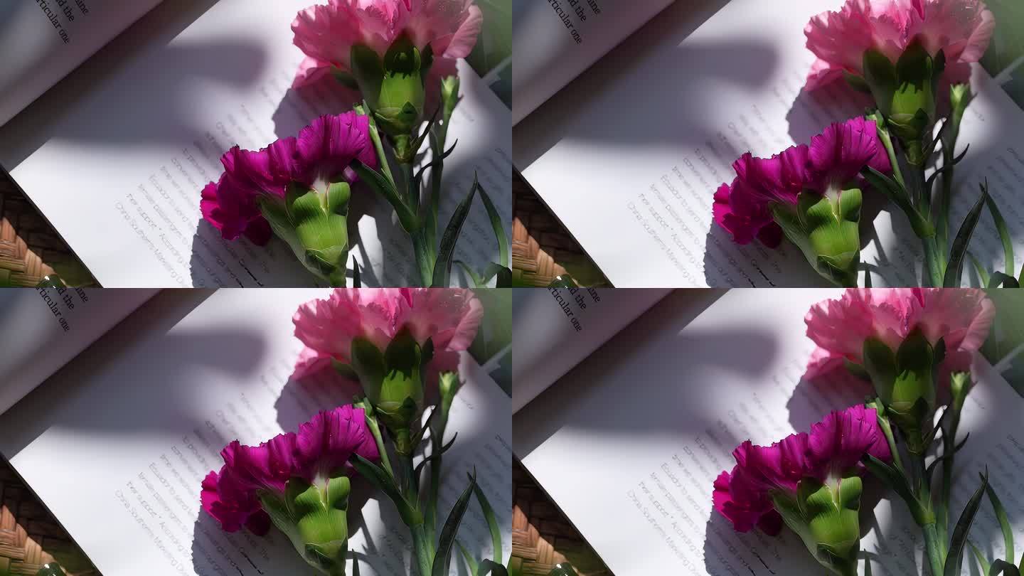 一束康乃馨缓慢地放在书本上