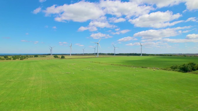 航拍:风力发电厂周围的大型绿色牧场上放牧着动物