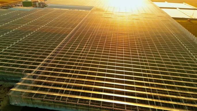 黄金时段农用玻璃温室反射阳光的无人机拍摄