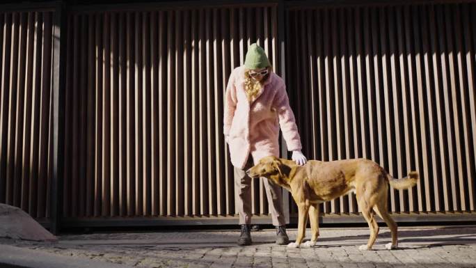 在一条狭窄的街道上，时髦的潮女在金属门的背景下抚摸着一只流浪的姜黄色狗