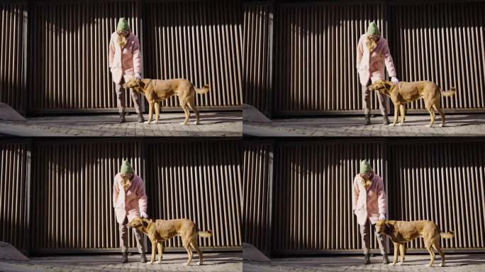 在一条狭窄的街道上，时髦的潮女在金属门的背景下抚摸着一只流浪的姜黄色狗