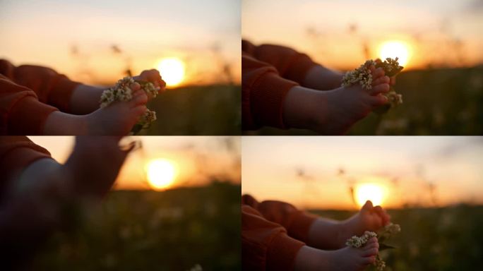 日落时分，小男孩用脚在田野上触摸开花植物的SLO手持镜头