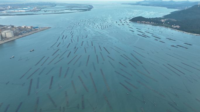 海上养殖海洋牧场网箱养殖