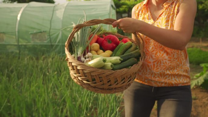 一位中年妇女提着一篮子蔬菜