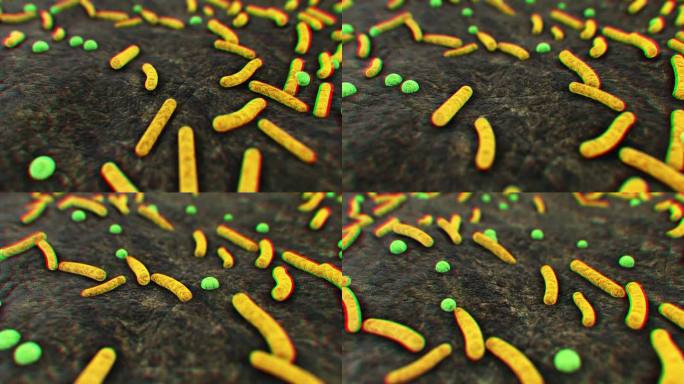 肠杆菌科革兰氏阴性菌柠檬酸杆菌的科学图像