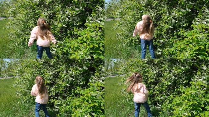 小女孩闻着开花的树。快乐的孩子在户外享受大自然。一个孩子在花园里蹦蹦跳跳，尽情享受。幽默