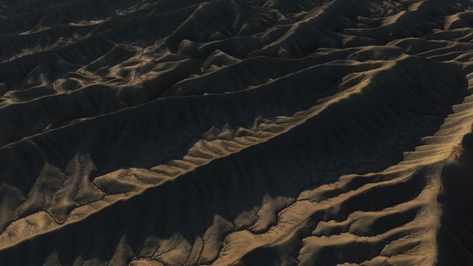 在犹他州的工厂丘，褶皱的砂岩山脊形成了奇怪的景观