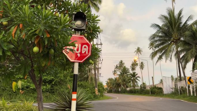 热带国家空旷的道路和停车标志