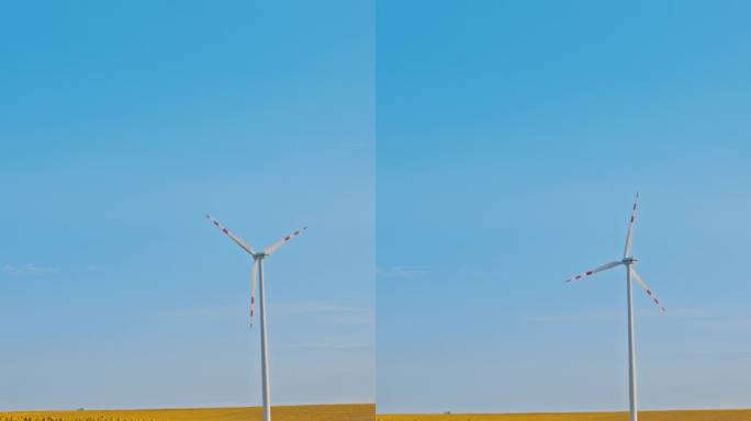 自然与科技的和谐:向日葵和风力涡轮机在垂直拍摄