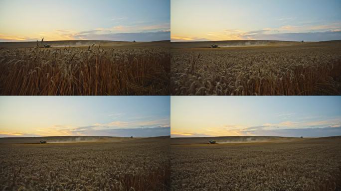 日落时分，联合收割机在麦田上对着天空移动的中距离起重机镜头